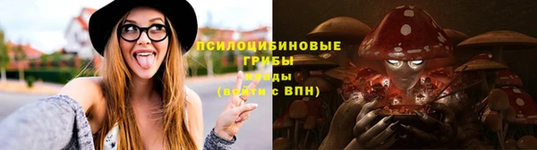 мяу мяу мука Новозыбков