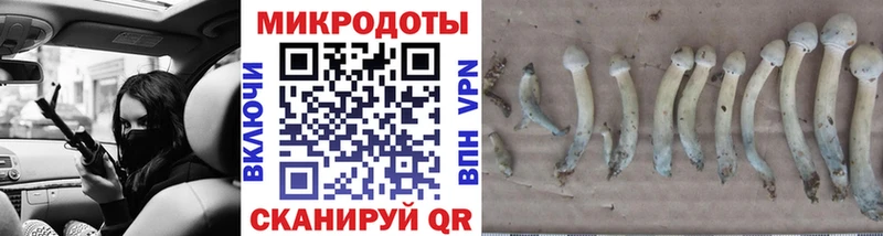 Галлюциногенные грибы Magic Shrooms  как найти   Кировск 