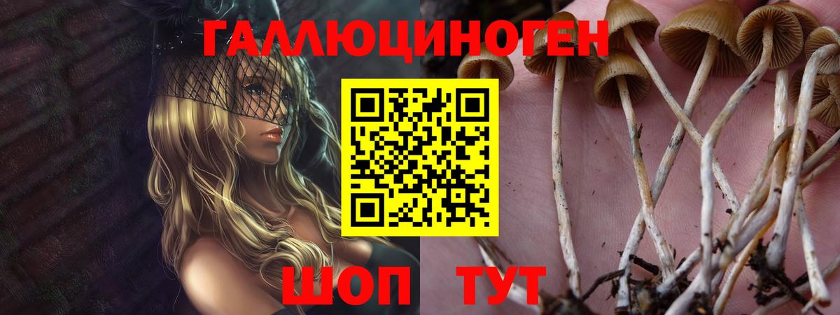 Галлюциногенные грибы мухоморы Кировск