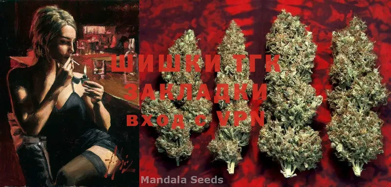 Канабис SATIVA & INDICA  Кировск 